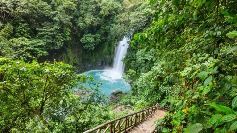 Unlocking the Secrets of Longevity: Lessons from Costa Rica's Nicoya Peninsula