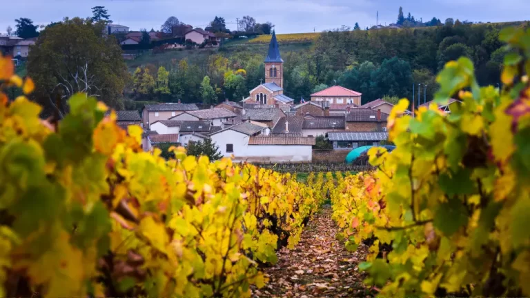 Beaujolais for Beginners: A Complete Guide to France’s Scenic Wine Region