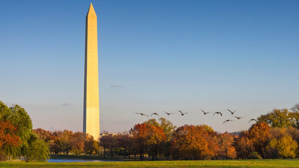 5 Essential Stops for a Memorable Walking Tour of Washington, D.C.’s National Mall