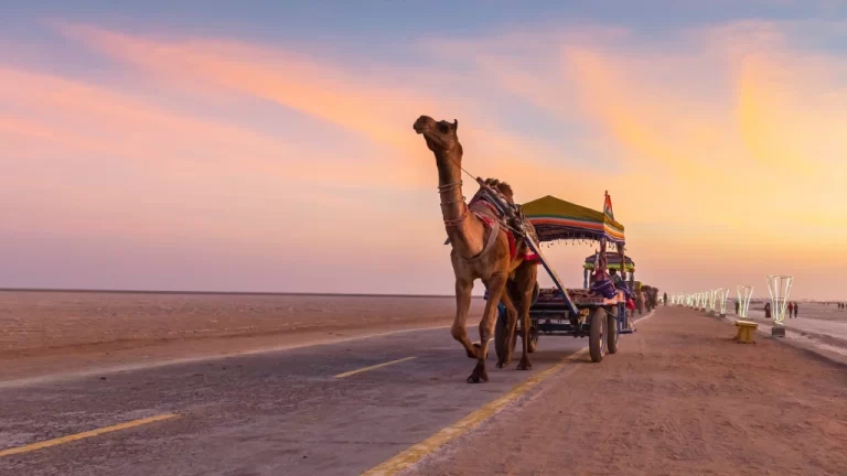 Incredible Road Trips That Showcase the Beauty of India