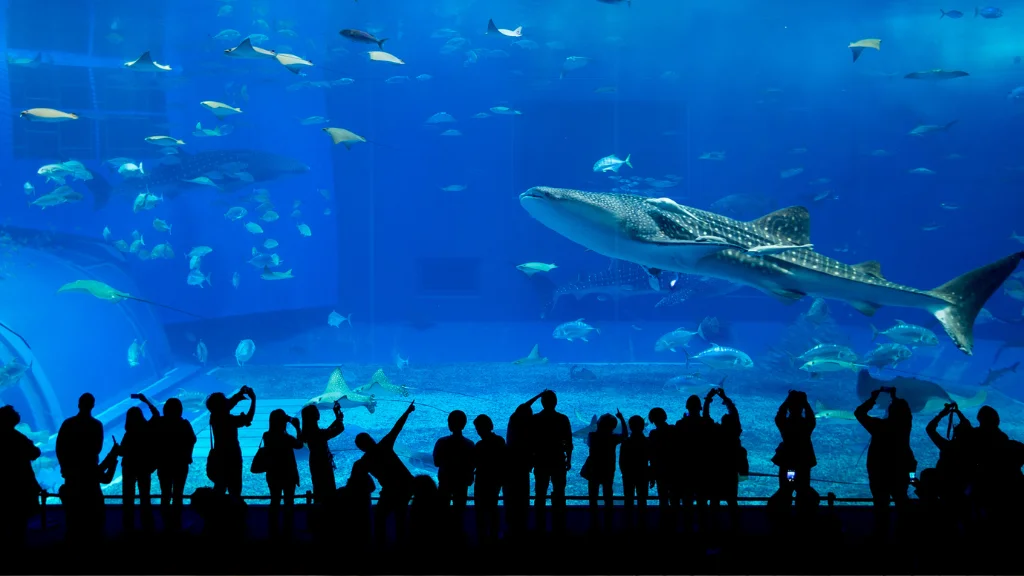 Discover the Wonders of the Aquarium of the Pacific: Skip-the-Line Entry in LA for a Seamless Adventure