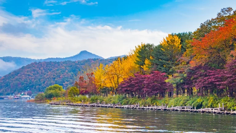 Discover the Beauty of Nami Island: A Perfect Day Trip from Seoul