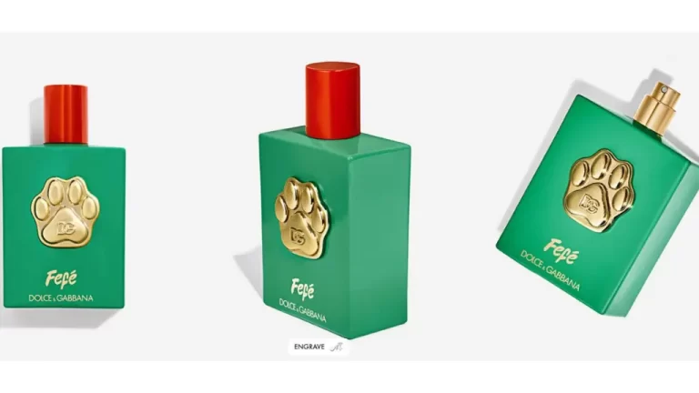 Dolce & Gabbana Introduces Fefe: The Opulent Dog Perfume Inspired by a Billionaire Fashion Designer