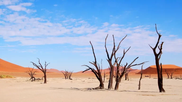 Sossusvlei, Namibia: Discover the Majestic Dunes and Mystical Beauty of the Namib Desert