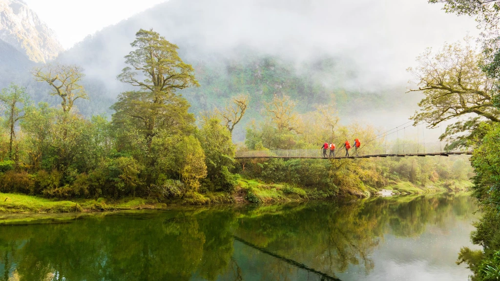 New Zealand’s 10th Great Walk: 5 Essential Details About the Newest Trekking Adventure