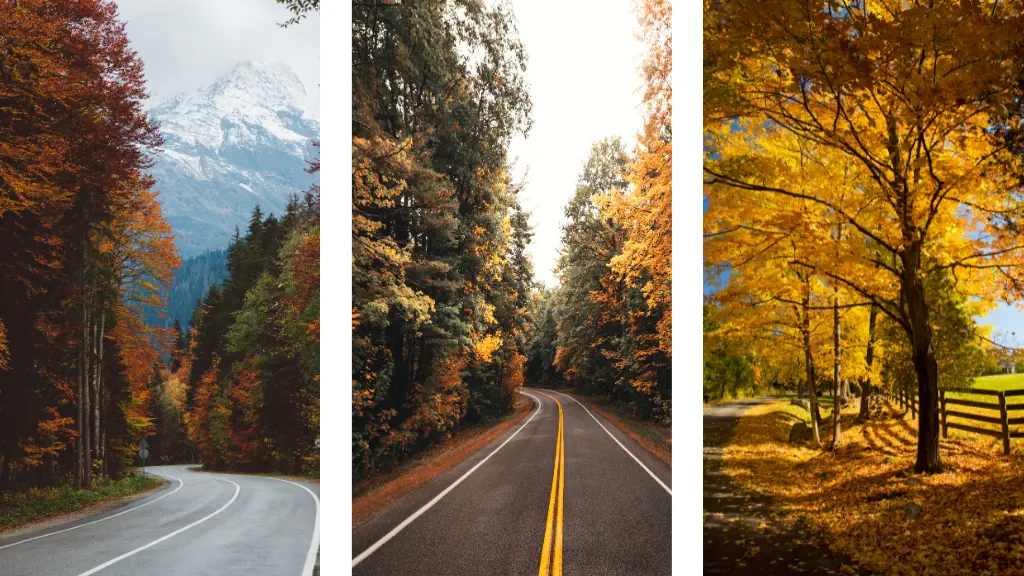 The Perfect New England Fall Foliage Road Trip: A Journey Through Autumn’s Magic