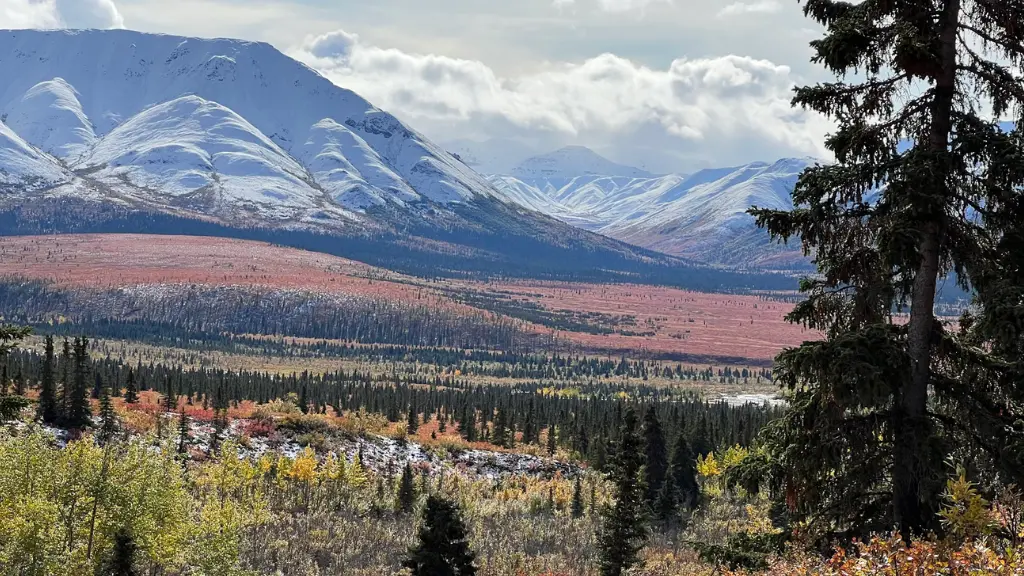 Why You Should Take Your Kids on the Alaska Railroad: A Family Adventure Like No Other