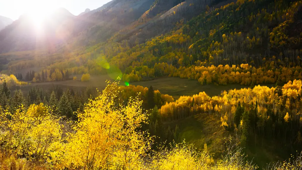 Your First-Time Guide to Telluride, Colorado: A Scenic Mountain Paradise