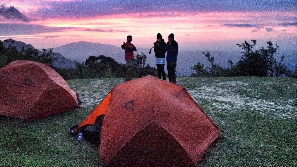 Finding Solace in Nature: The Healing Power of Hiking