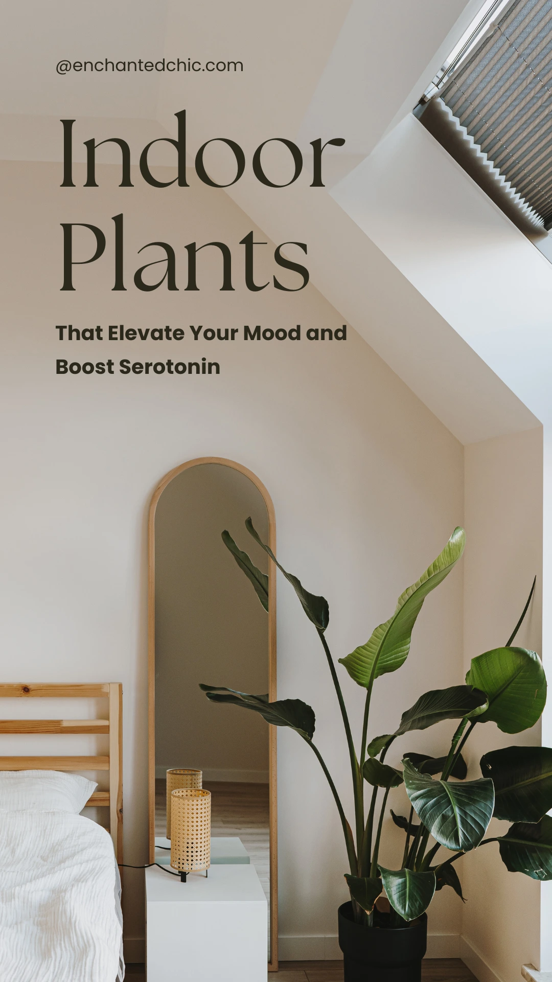 Indoor Plants That Elevate Your Mood and Boost Serotonin