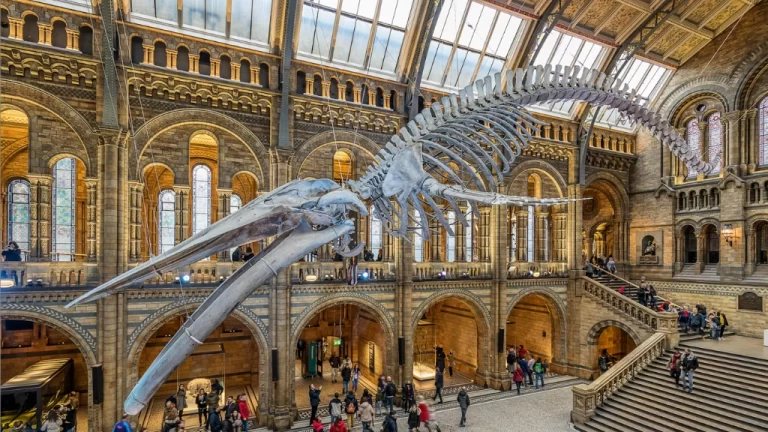 Explore Free Museums and Galleries in London