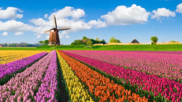 Explore the Netherlands on a budget