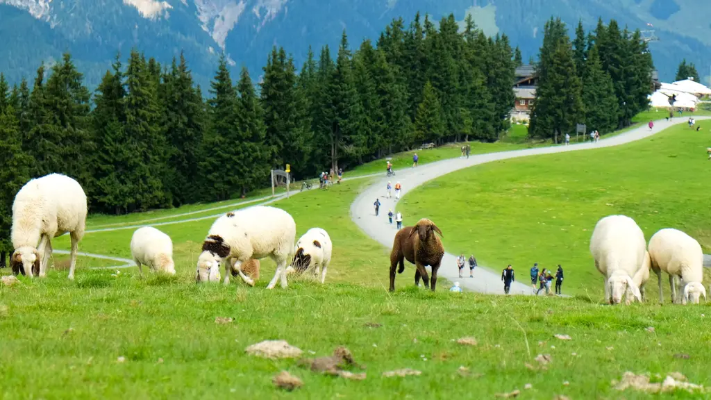 Why Taking the Train to Saalfelden Leogang Is the Perfect Escape