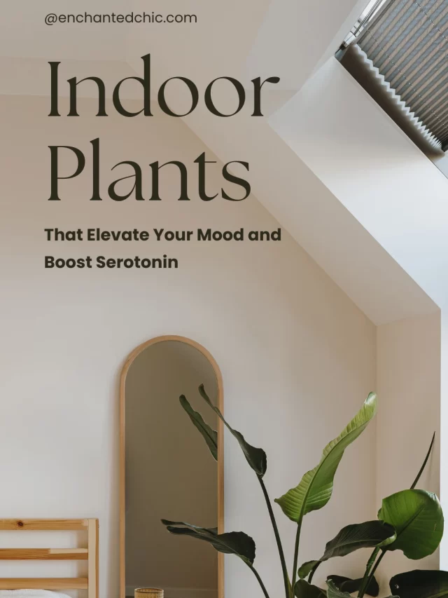 Indoor Plants That Elevate Your Mood and Boost Serotonin