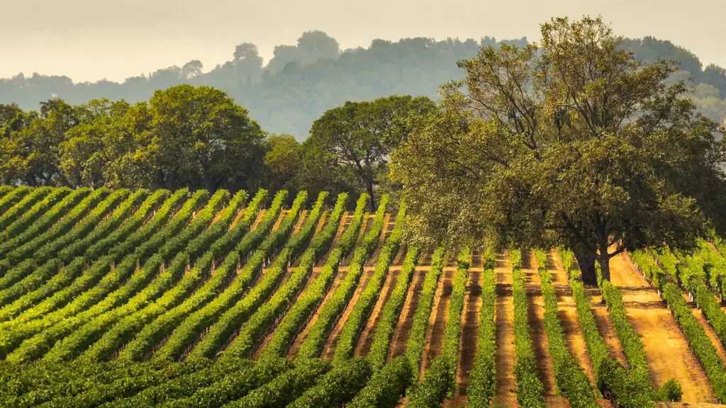 Guide to Sonoma, California