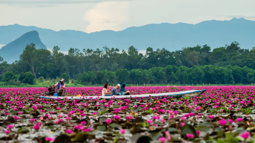 Discover Where Locals Travel in Thailand