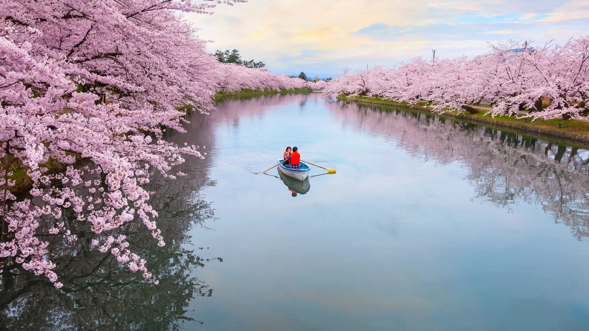 2. Hirosaki koen in Tohoku is less crowded