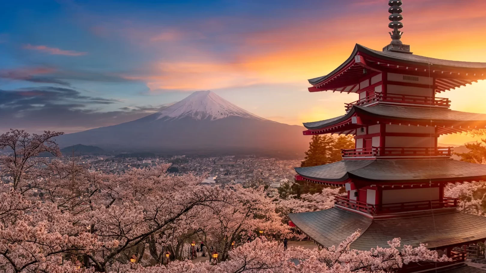 3. Fuji Five Lakes in Yamanashi offers the best blossom photos