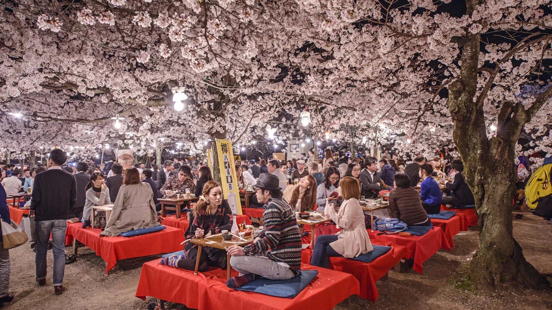 4. Maruyama koen Maruyama Park Kyoto is the top hanami spot