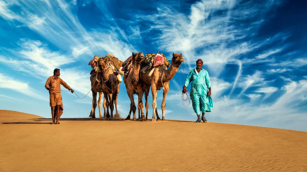 Explore the Magic of Pushkar with a Camel Safari.