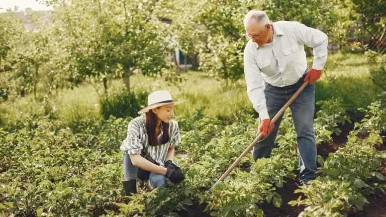 Learn How Gardening and Yard Work Double as Exercise.