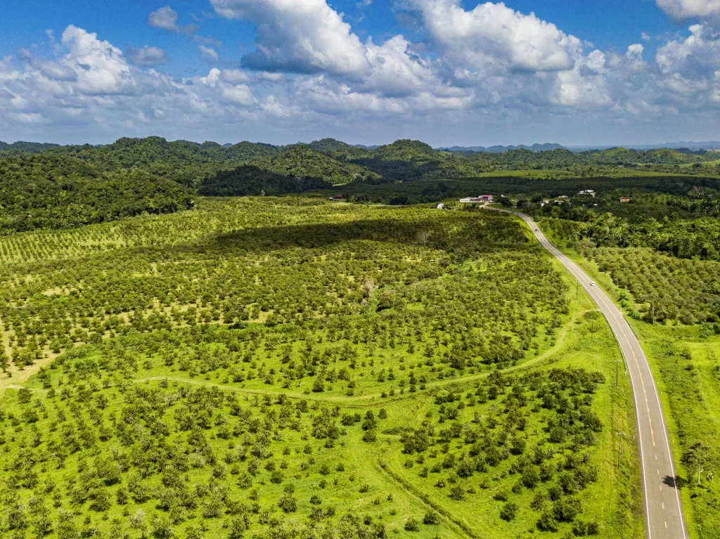 Belize Hummingbird Highway gsphotographybz GettyImages 1429017012 RFC