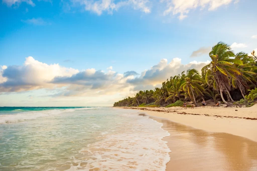 Playa las Palmas Tulum