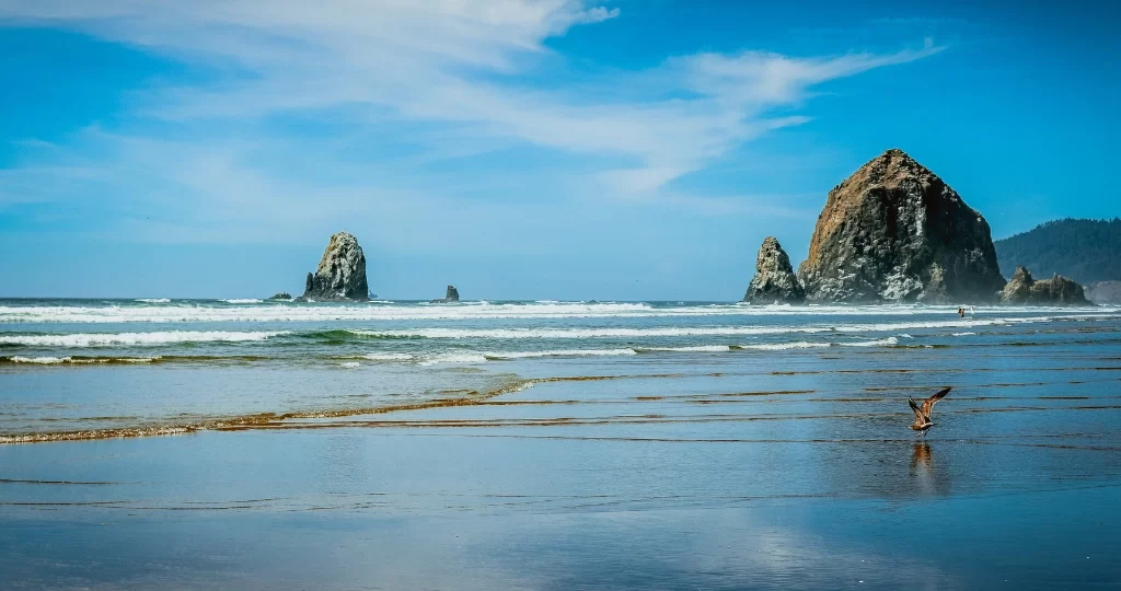 The Best Beaches Near Portland, Oregon: 7 Stunning Coastal Escapes