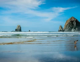 The Best Beaches Near Portland, Oregon: 7 Stunning Coastal Escapes