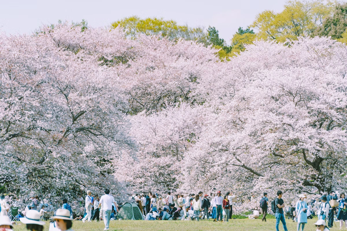 0412Tokyo009
