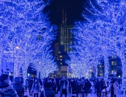 free things to do in Tokyo, Tokyo on a budget, free Tokyo attractions, travel Tokyo for free, Tokyo tips for U.S. tourists