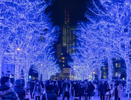 free things to do in Tokyo, Tokyo on a budget, free Tokyo attractions, travel Tokyo for free, Tokyo tips for U.S. tourists
